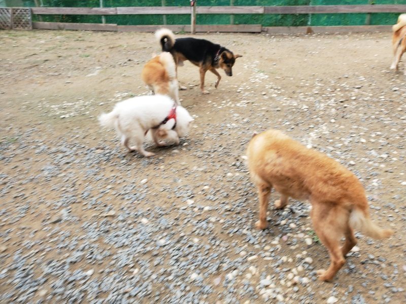 f:id:roukenhome-ann:20191010082727j:plain
