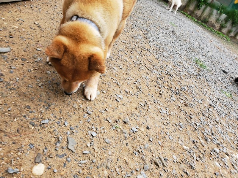 f:id:roukenhome-ann:20191010082733j:plain