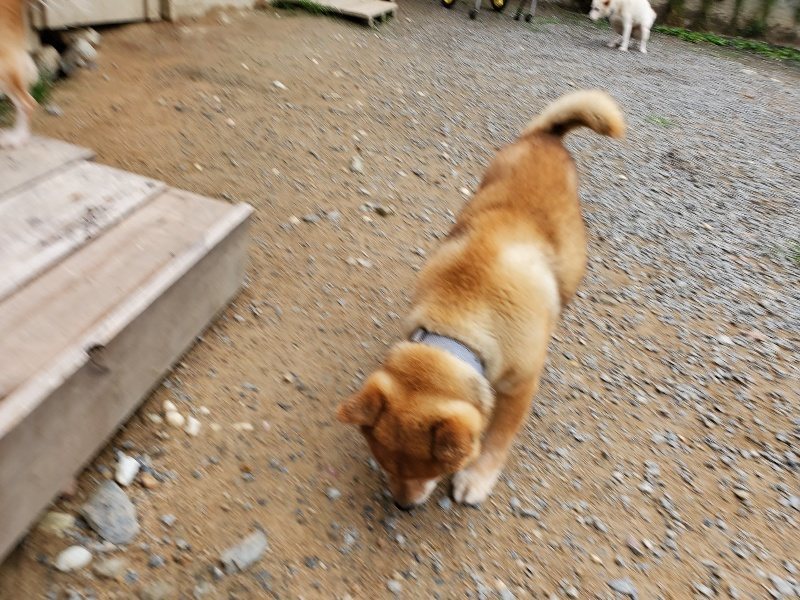 f:id:roukenhome-ann:20191010082738j:plain
