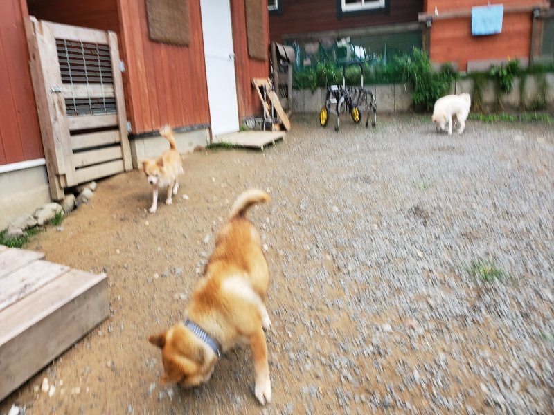 f:id:roukenhome-ann:20191010082743j:plain