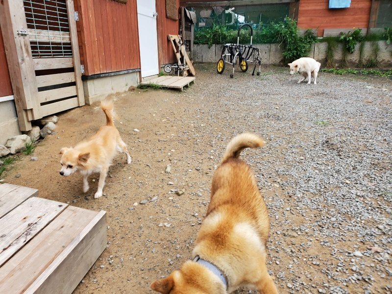 f:id:roukenhome-ann:20191010082749j:plain