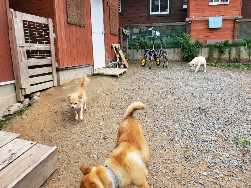 f:id:roukenhome-ann:20191010082755j:plain