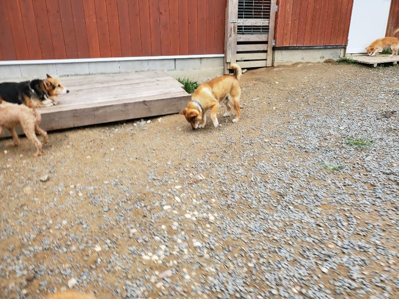 f:id:roukenhome-ann:20191010082800j:plain