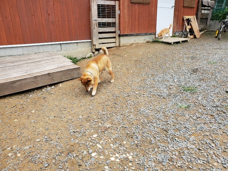 f:id:roukenhome-ann:20191010082814j:plain