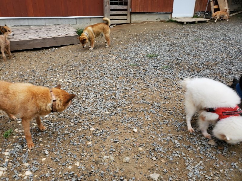 f:id:roukenhome-ann:20191010082819j:plain
