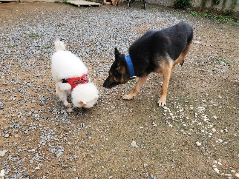 f:id:roukenhome-ann:20191010082831j:plain