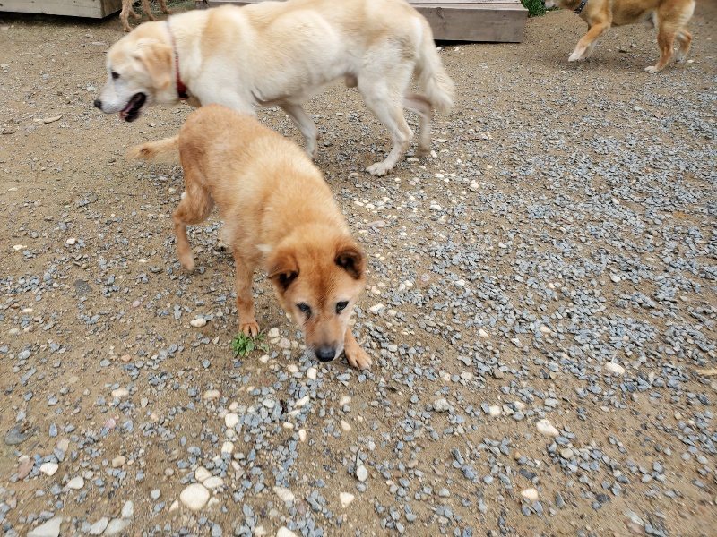 f:id:roukenhome-ann:20191010082840j:plain