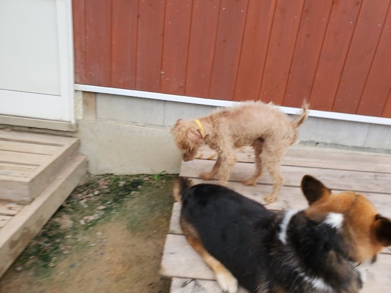 f:id:roukenhome-ann:20191010083012j:plain