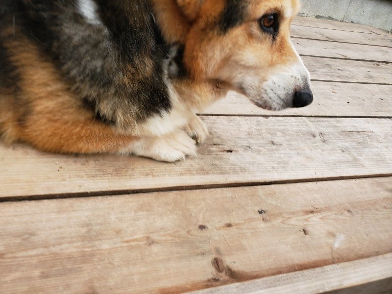 f:id:roukenhome-ann:20191010083016j:plain