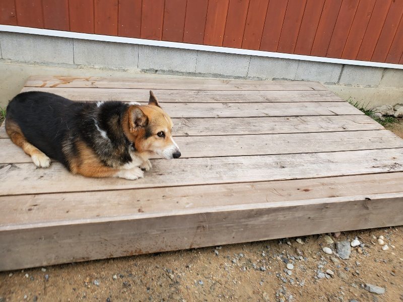f:id:roukenhome-ann:20191010083022j:plain