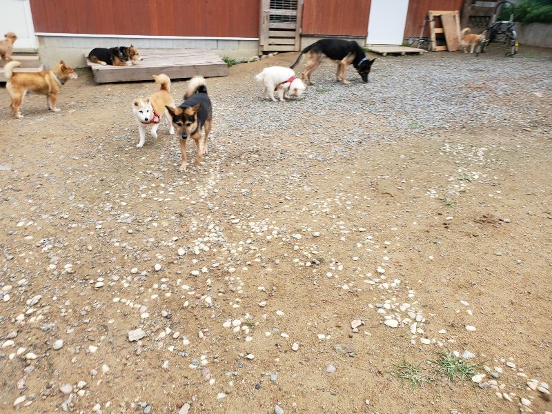 f:id:roukenhome-ann:20191010083110j:plain