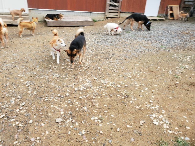 f:id:roukenhome-ann:20191010083116j:plain