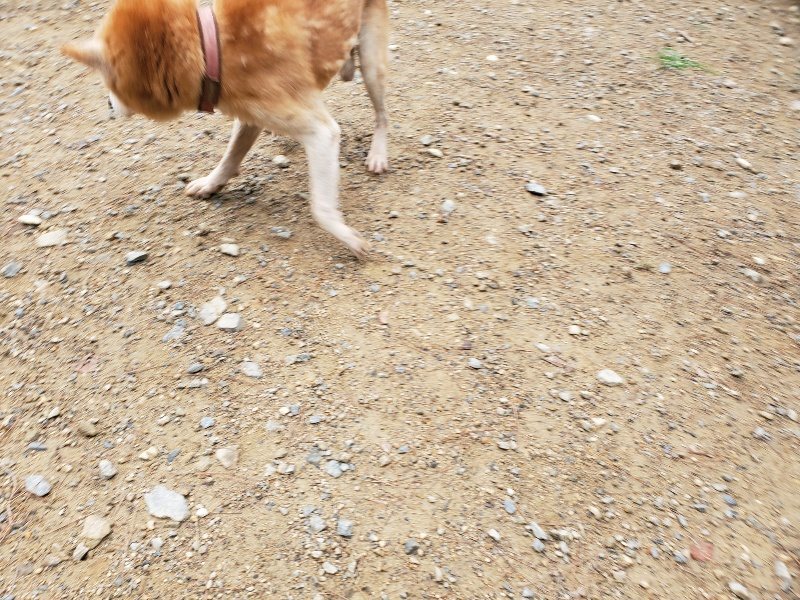 f:id:roukenhome-ann:20191010083125j:plain