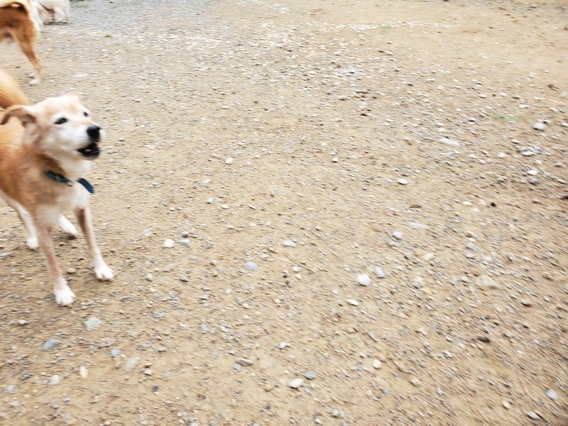 f:id:roukenhome-ann:20191010083132j:plain