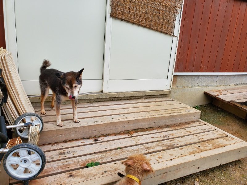 f:id:roukenhome-ann:20191010083141j:plain