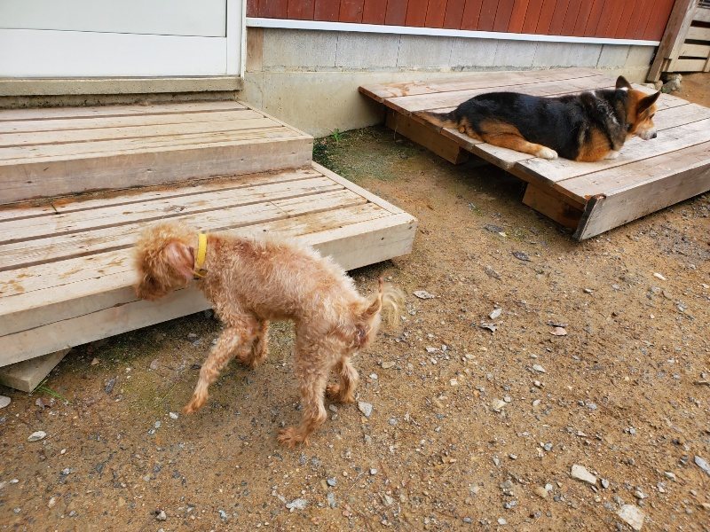 f:id:roukenhome-ann:20191010083148j:plain