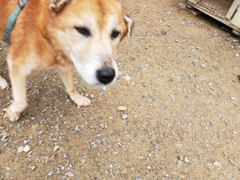 f:id:roukenhome-ann:20191010083224j:plain