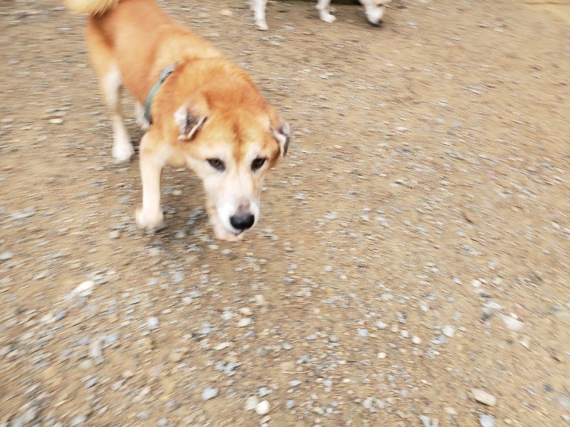 f:id:roukenhome-ann:20191010083244j:plain