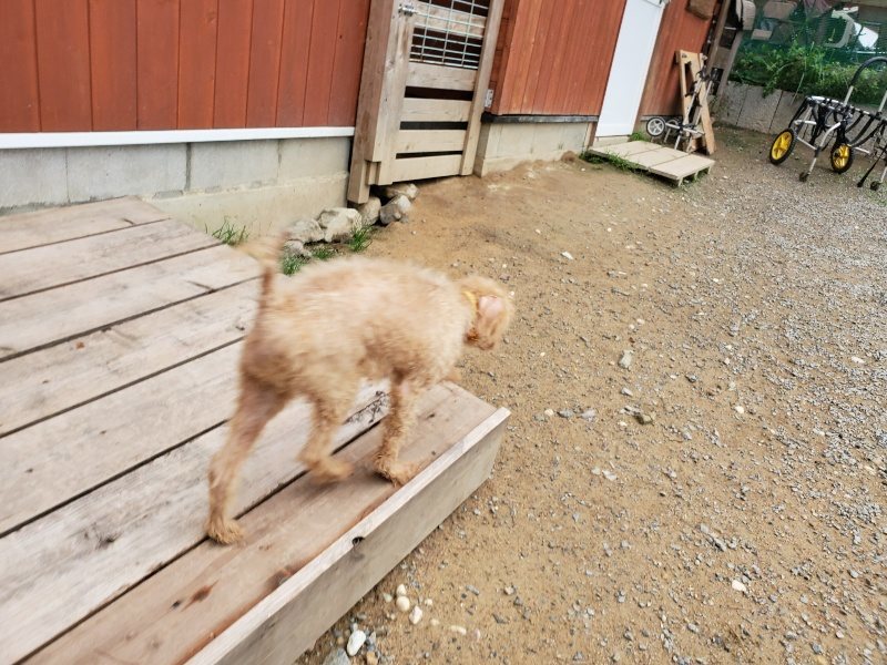 f:id:roukenhome-ann:20191010083249j:plain