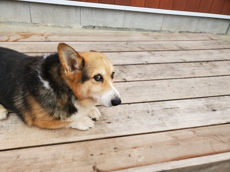 f:id:roukenhome-ann:20191010083458j:plain