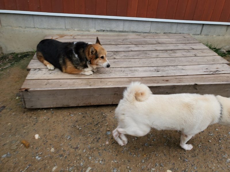 f:id:roukenhome-ann:20191010083502j:plain