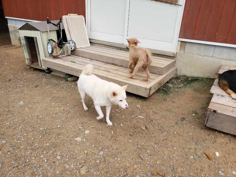 f:id:roukenhome-ann:20191010083510j:plain