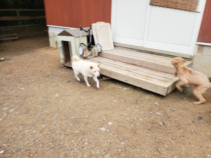 f:id:roukenhome-ann:20191010083517j:plain
