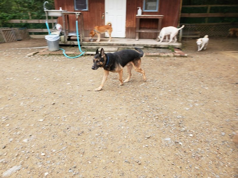 f:id:roukenhome-ann:20191010083526j:plain