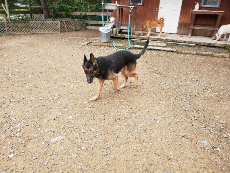 f:id:roukenhome-ann:20191010083542j:plain