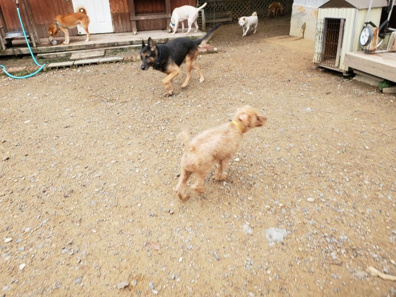 f:id:roukenhome-ann:20191010083554j:plain