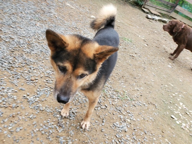 f:id:roukenhome-ann:20191010083615j:plain