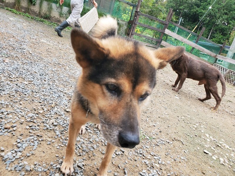 f:id:roukenhome-ann:20191010083621j:plain