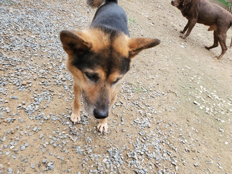 f:id:roukenhome-ann:20191010083627j:plain