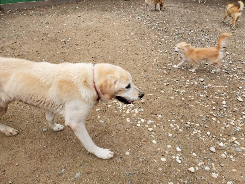 f:id:roukenhome-ann:20191010083641j:plain