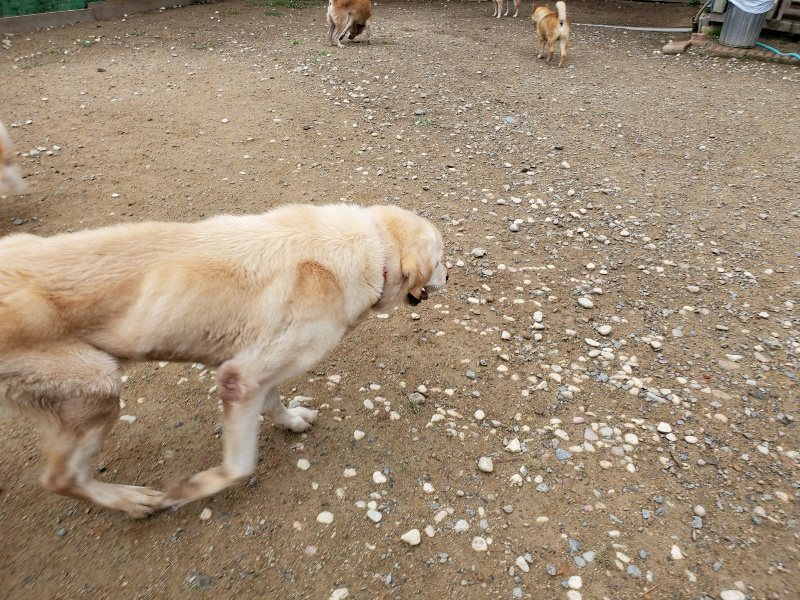 f:id:roukenhome-ann:20191010083657j:plain