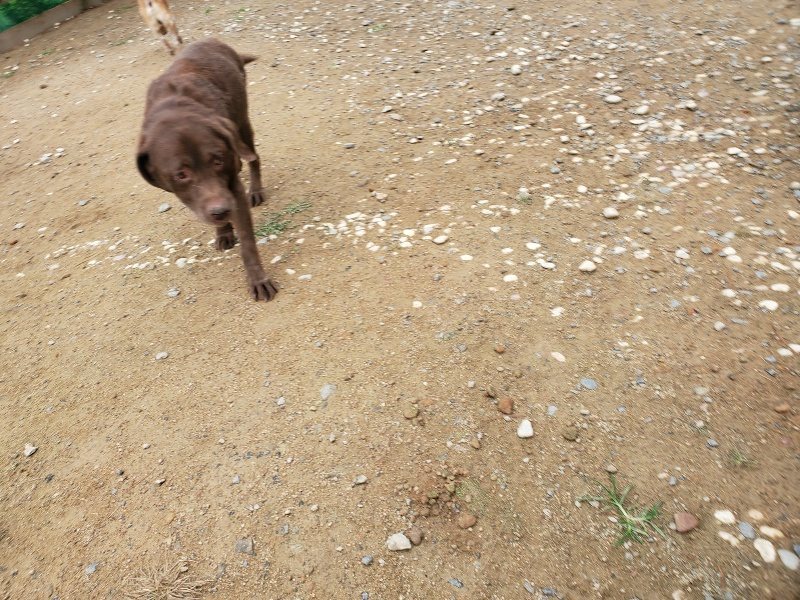 f:id:roukenhome-ann:20191010083724j:plain