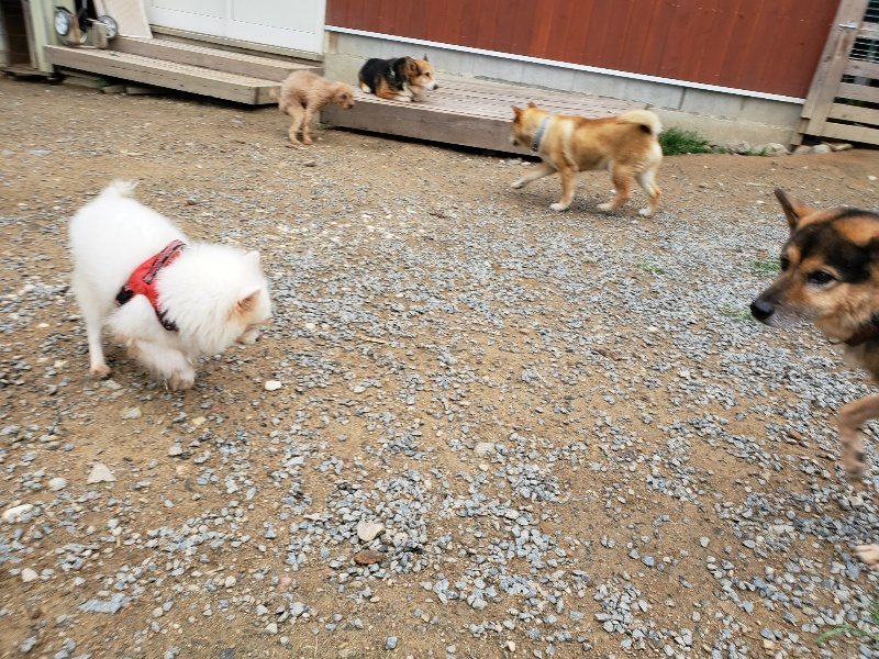 f:id:roukenhome-ann:20191010083737j:plain
