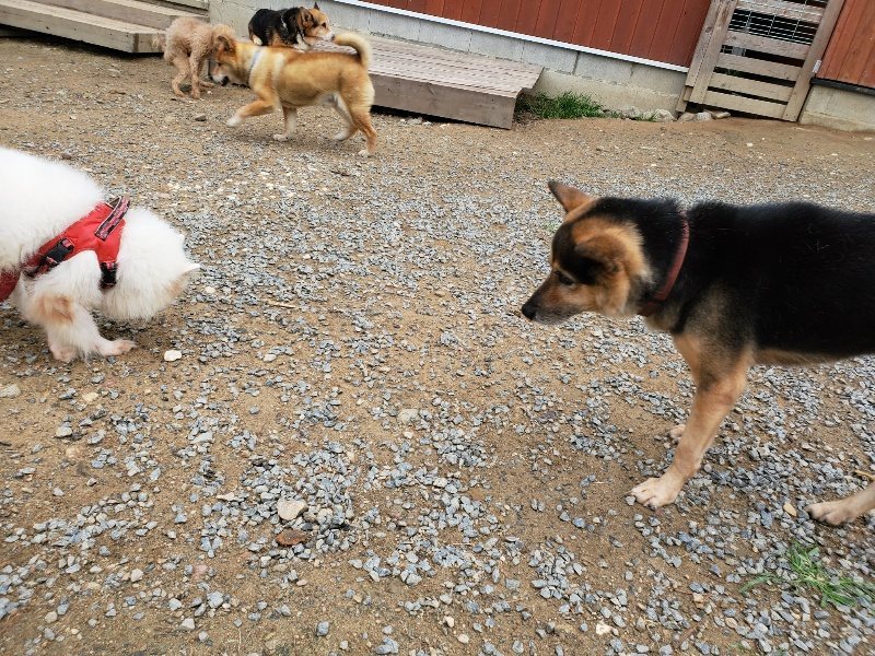 f:id:roukenhome-ann:20191010083758j:plain