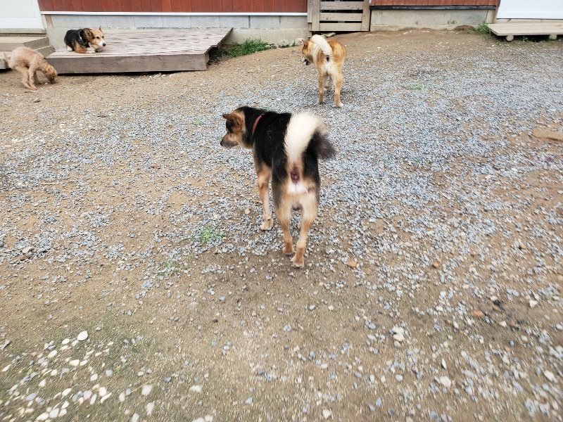f:id:roukenhome-ann:20191010083803j:plain