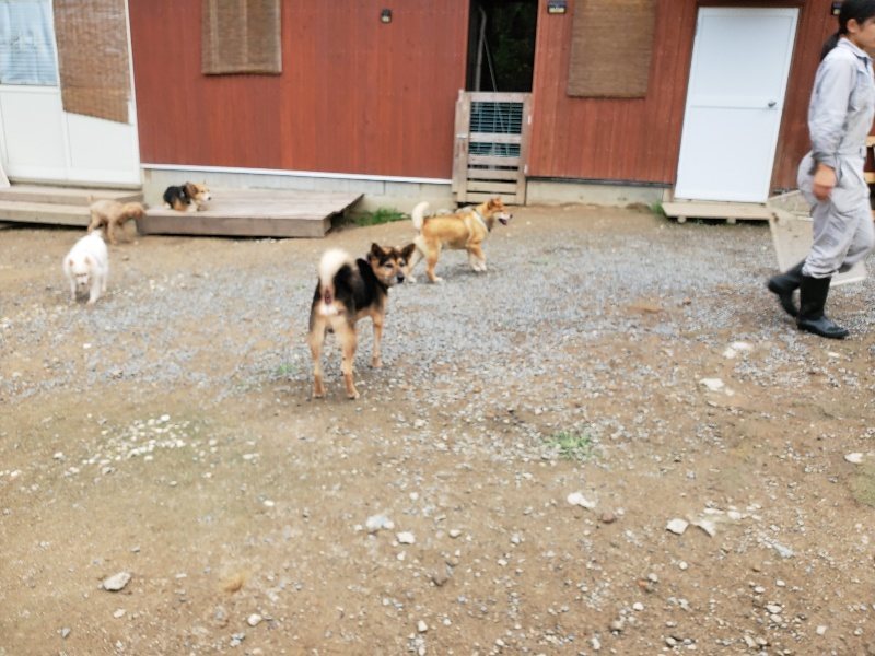 f:id:roukenhome-ann:20191010083808j:plain