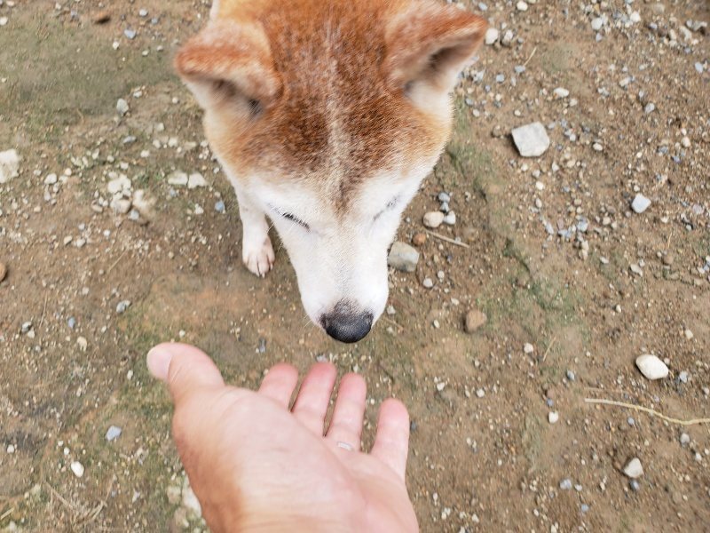 f:id:roukenhome-ann:20191010083816j:plain