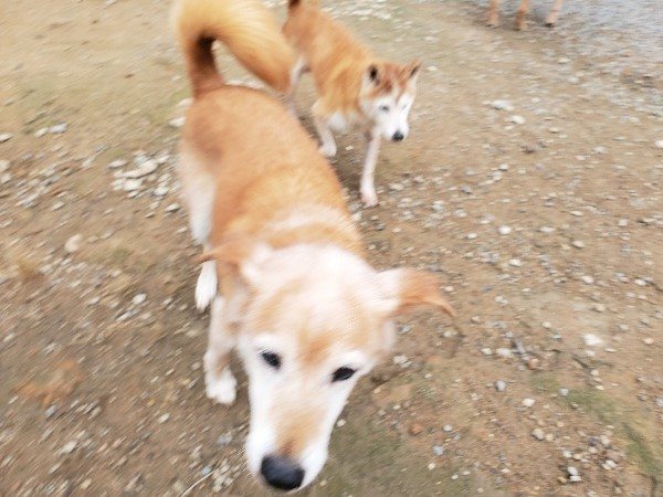 f:id:roukenhome-ann:20191010084127j:plain