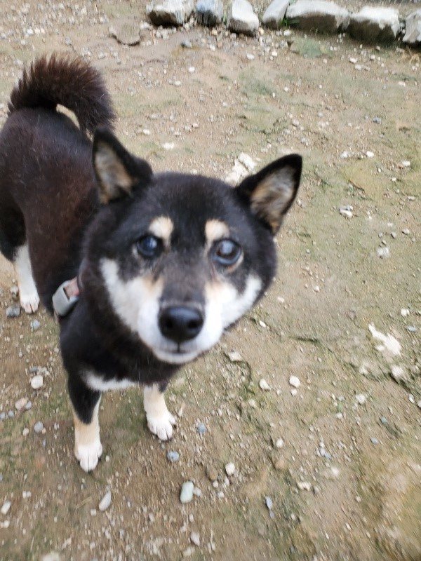 f:id:roukenhome-ann:20191010084131j:plain