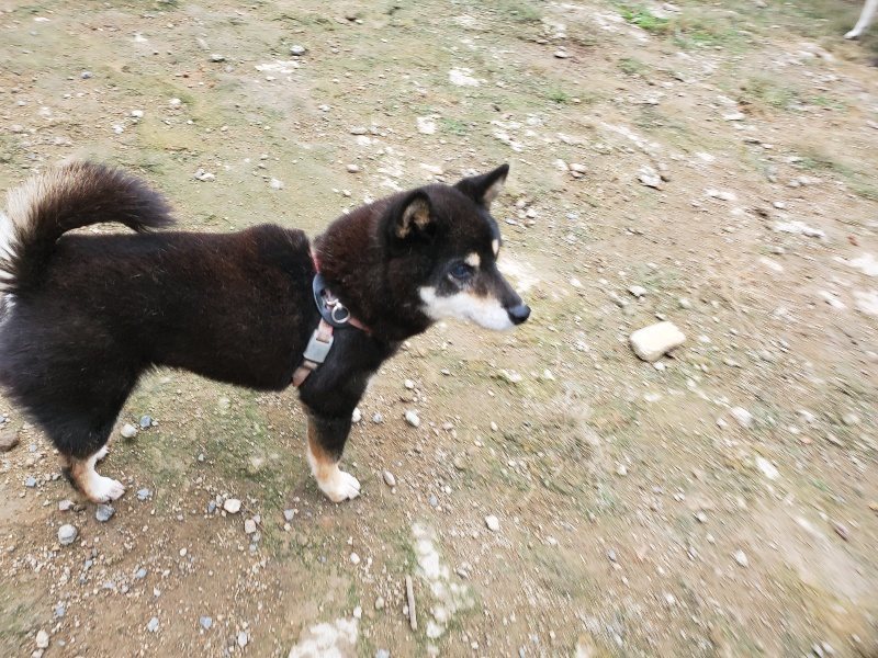 f:id:roukenhome-ann:20191010084147j:plain
