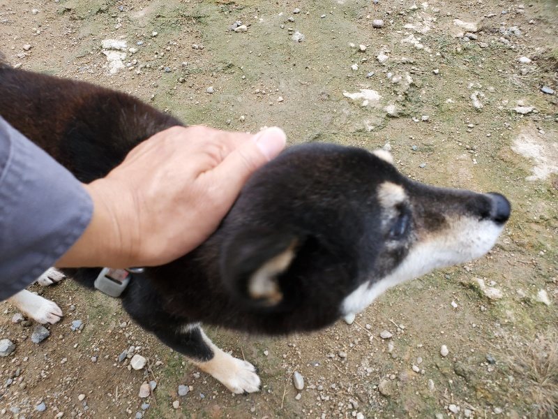 f:id:roukenhome-ann:20191010084153j:plain