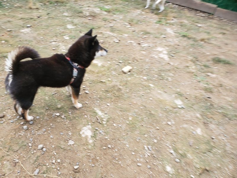 f:id:roukenhome-ann:20191010084158j:plain
