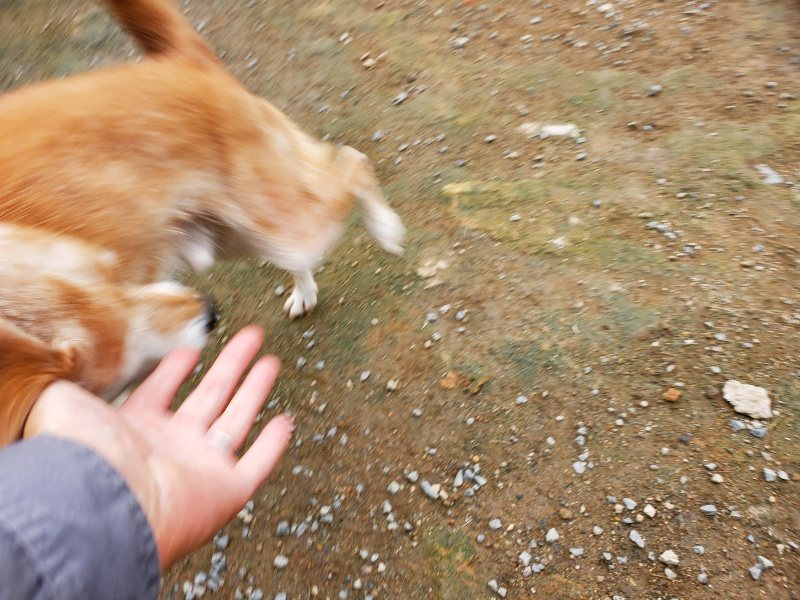 f:id:roukenhome-ann:20191010084206j:plain