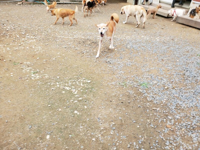 f:id:roukenhome-ann:20191010084215j:plain