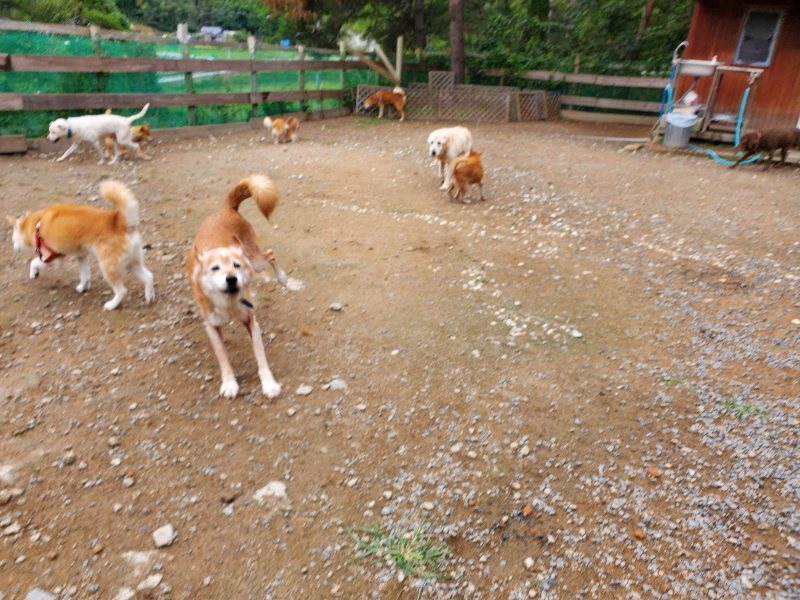 f:id:roukenhome-ann:20191010084223j:plain