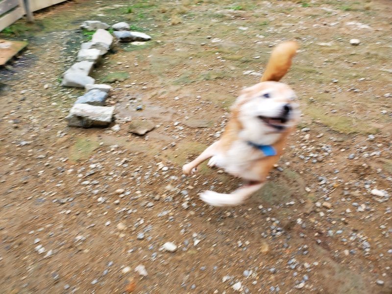 f:id:roukenhome-ann:20191010084249j:plain